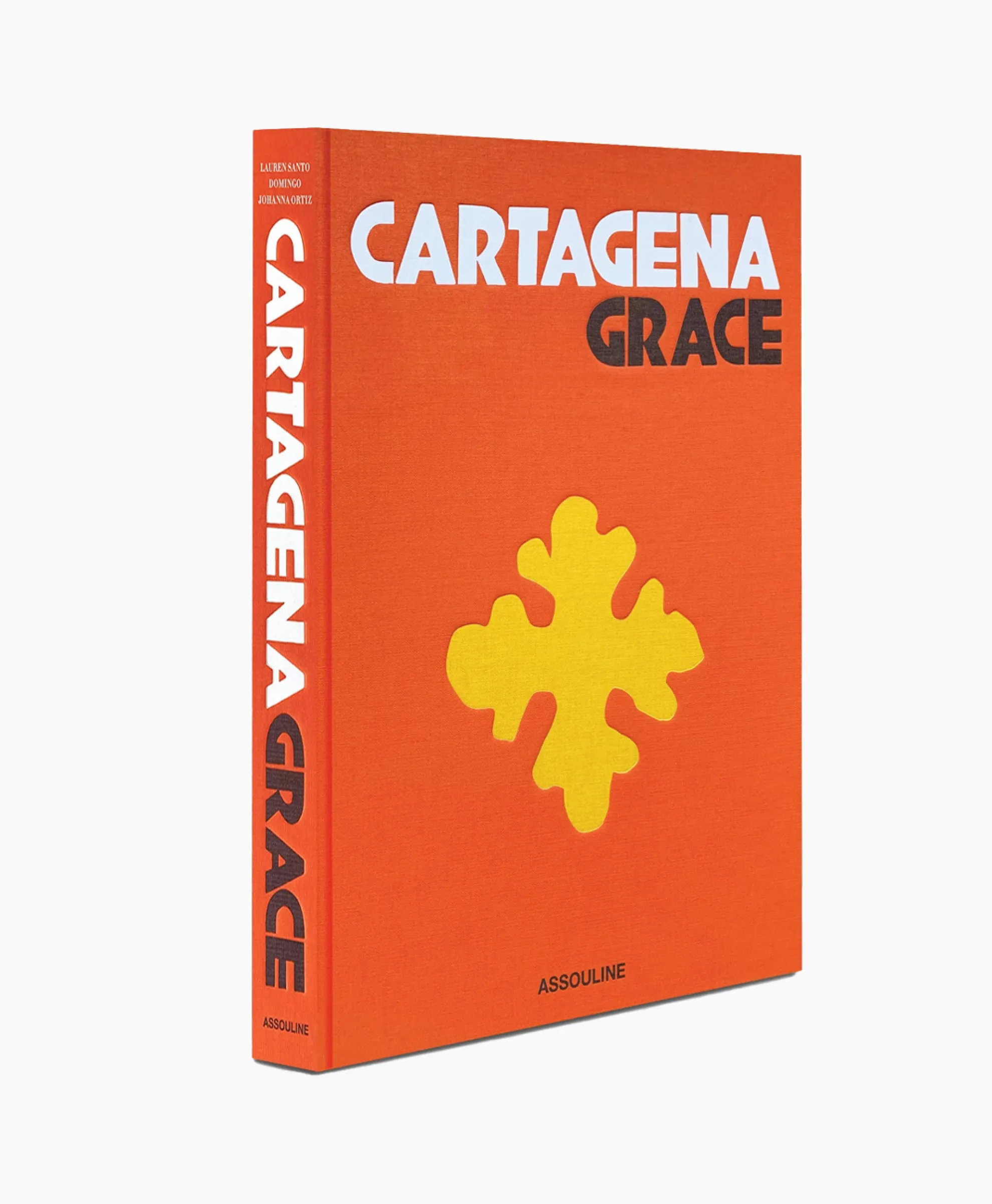 Assouline Boek Cartagena Grace Diversen